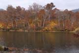 秋の鎌池
