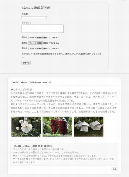 投稿画像